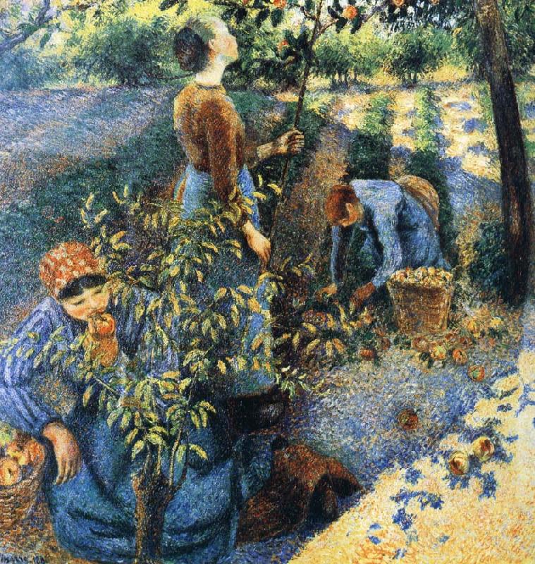 Camille Pissarro Apple picking China oil painting art